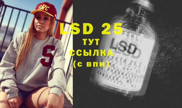 ECSTASY Белокуриха